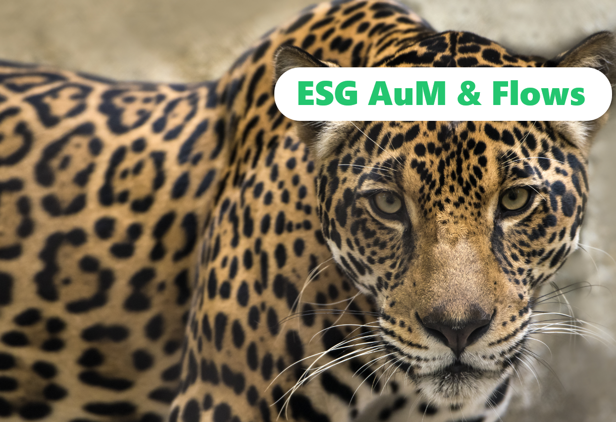 img ❓ [QUIZ] on the Covid 19 crisis impact on European sustainable mutual funds 🎯