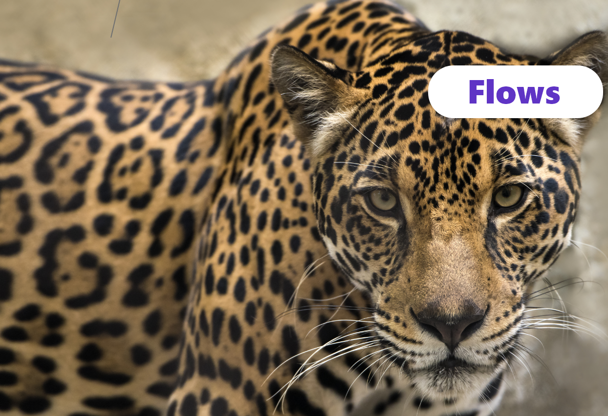 img ❓ ❓ [ QUIZ ] on the Covid 19 crisis impact on the European mutual fund flows 🎯