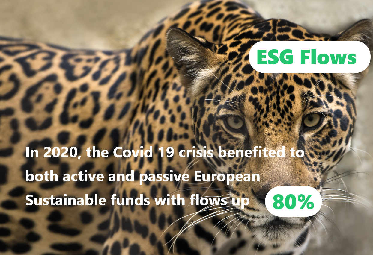 img 👉 In 2020, the Covid 19 crisis benefited to both active and passive European sustainable funds