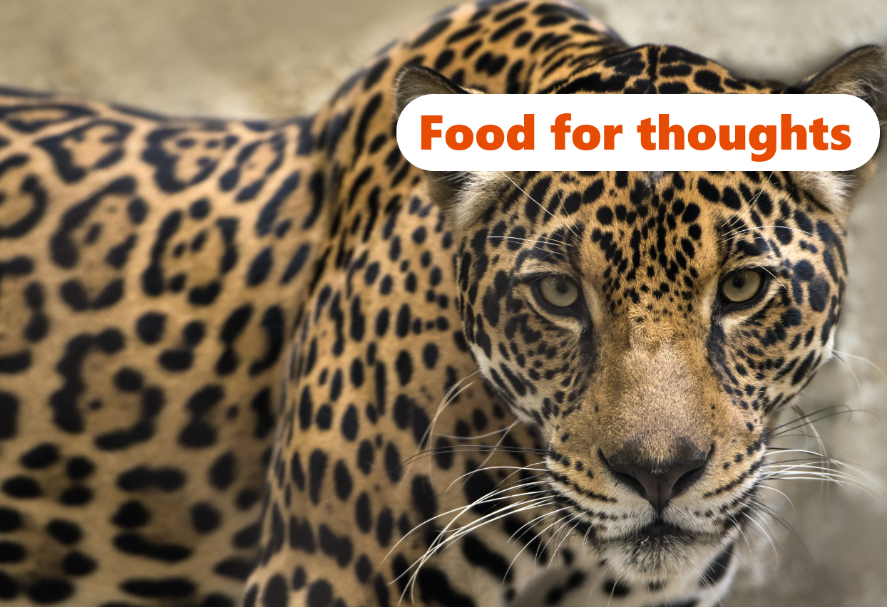 img 🤔 Are active and passive studies distorted only by closet trackers?