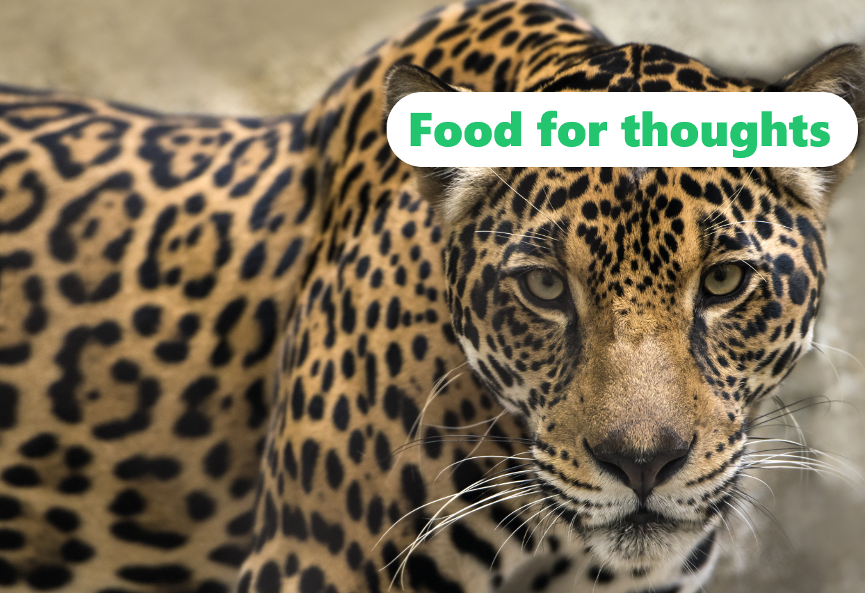 img 🤔 Is active management the only way to implement an ESG strategy?