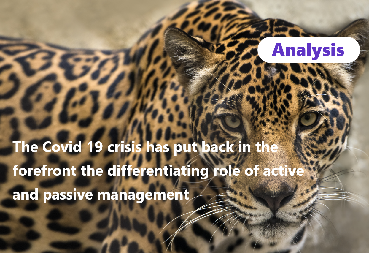 img Comment la crise de Covid 19 change-t-elle le débat entre l&rsquo;investissement actif et l&rsquo;investissement passif?