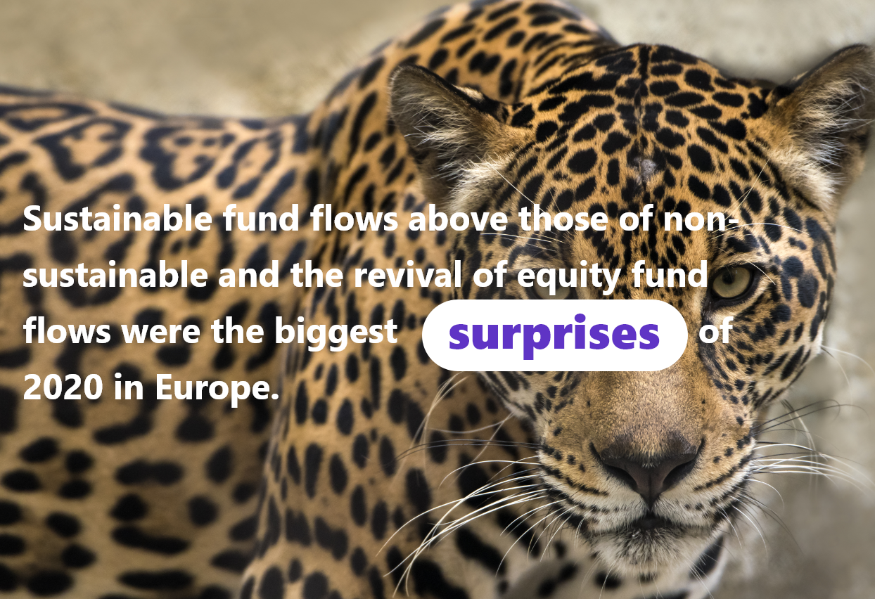 img 👀 Are you aware of the 2 biggest surprises concerning the impact of the Covid 19 crisis on the European mutual fund industry ?