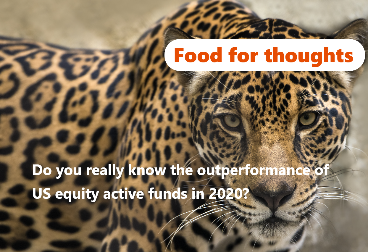 img 🤔 What if high fees and underperformance were not the main drivers of US active fund outflows?