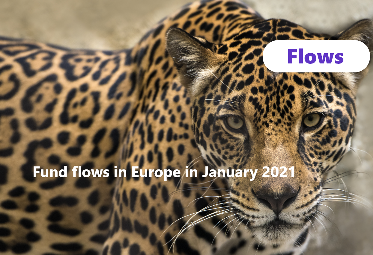 img 👀 News from the flow side #1 : What happened in January in Europe?