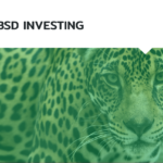 BSD INVESTING ESG FUND IMAGE