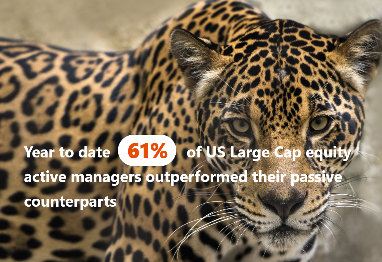 img 🤔 Is Passive still the default choice for investing in US large Cap equity funds ?