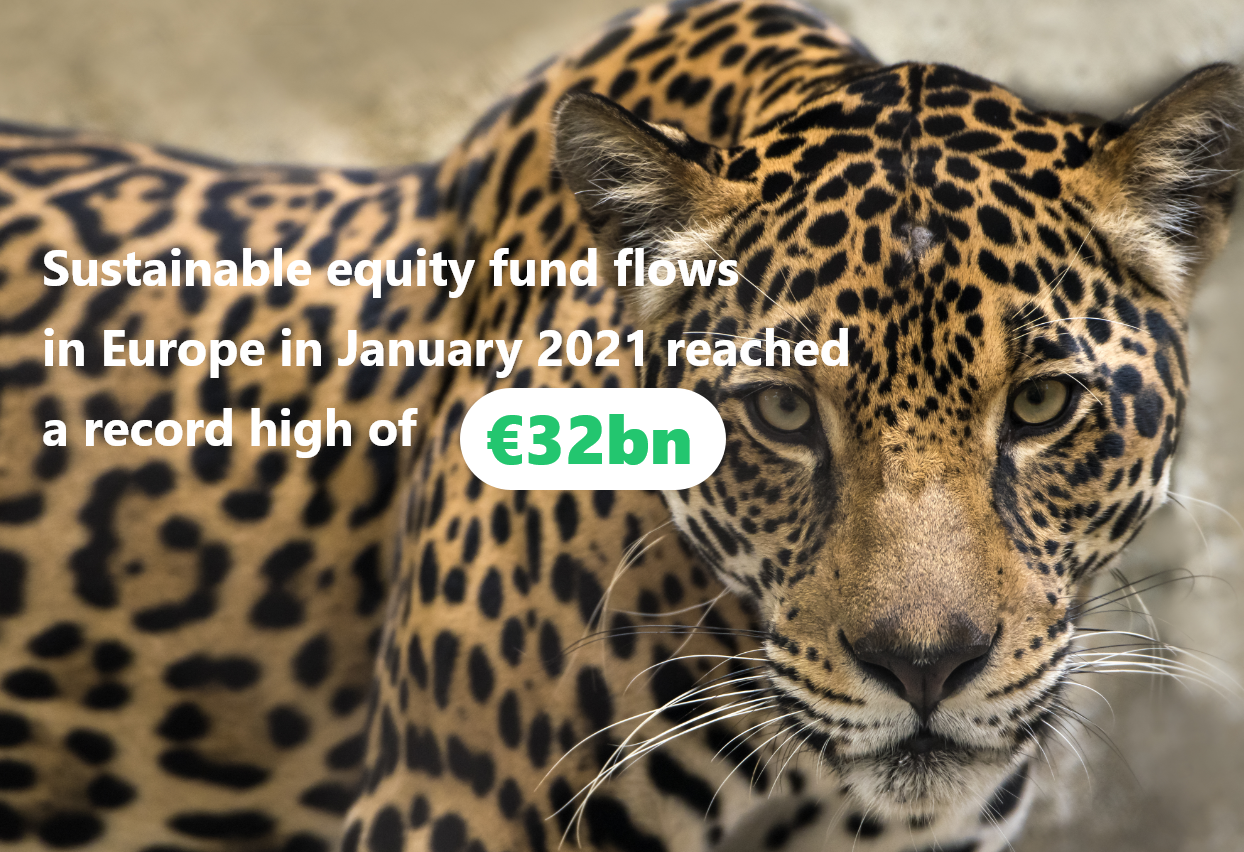 img 👀 News from the flow side #2 : What happened in January in Europe to sustainable funds ?