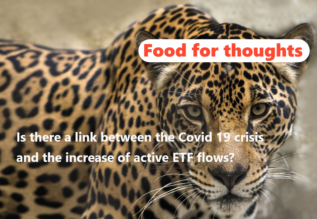 img Both active and passive funds have a role to play in portfolios