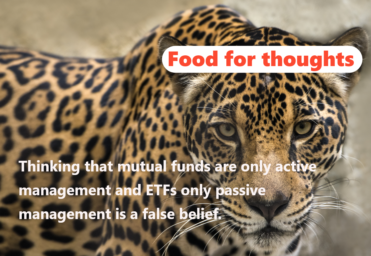 img 😎Should the focus only be on mutual funds vs ETF?