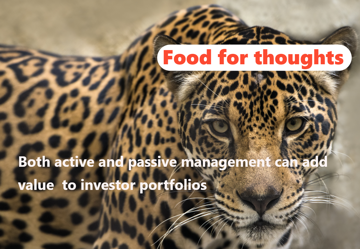 img 🤔 Les préoccupations concernant les risques de l&rsquo;investissement passif sont-elles les seules raisons de passer des fonds passifs aux fonds actifs?